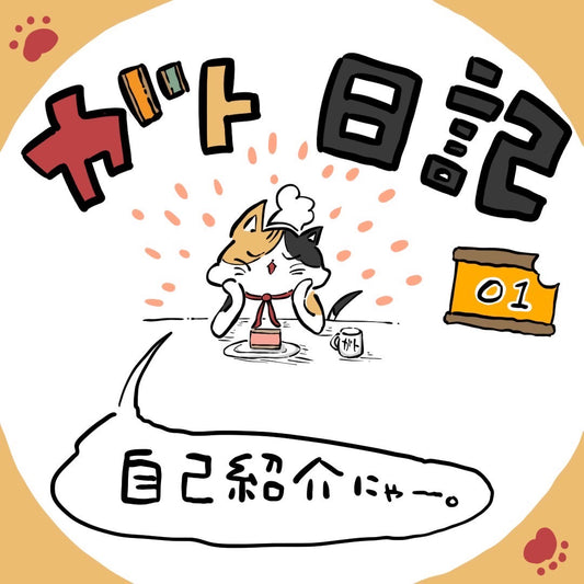 ガト日記 1話「自己紹介にゃ~。」