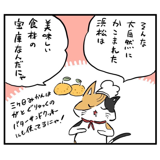 ガト日記 番外編「とびっきりはままつにゃ」