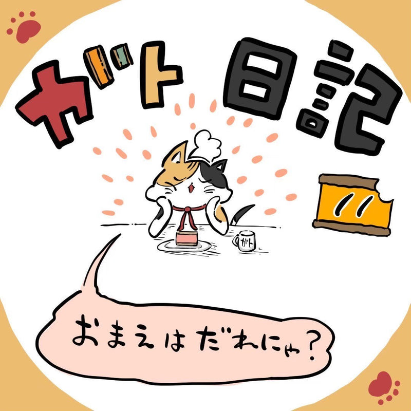 ガト日記 第11話「おまえはだれにゃ？」